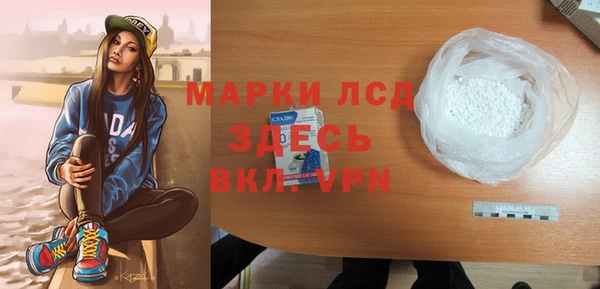 крисы Козельск