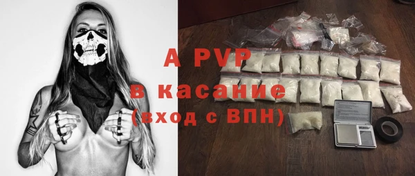 крисы Козельск