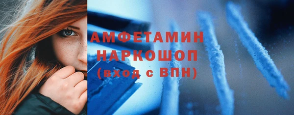 крисы Козельск