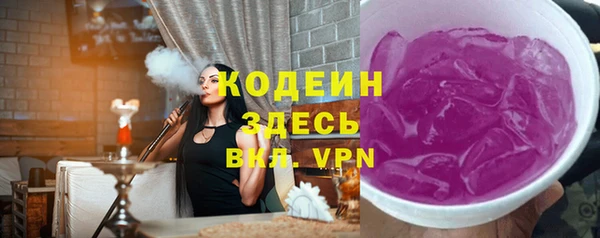 крисы Козельск