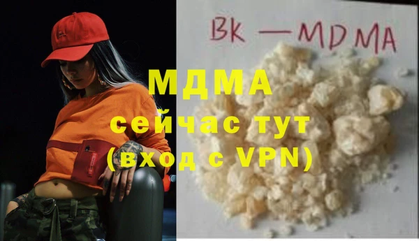 крисы Козельск