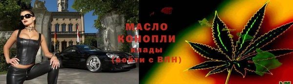 крисы Козельск