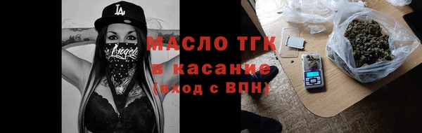 крисы Козельск