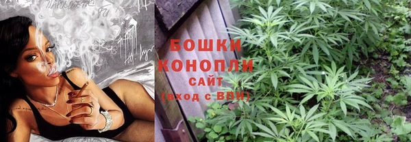 крисы Козельск