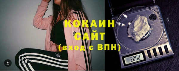 крисы Козельск